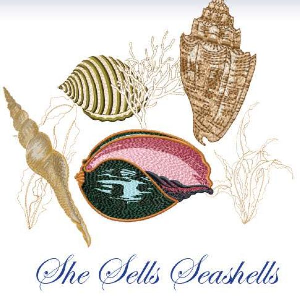 She Sell Seashells (DL)